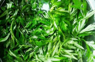 清明时节粄飘香，蕲艾青青药食同源