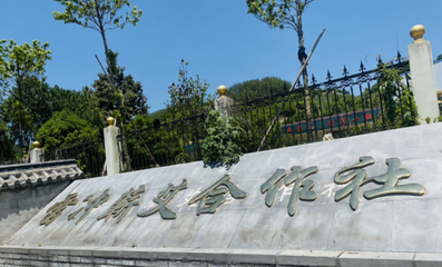 麦色青春 | 返乡大学生陈叶 我的青春不“躺平”，蕲艾种植的新农人之路